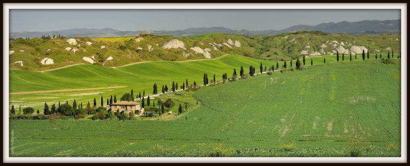 Marchio per vini contenente indicazioni geografiche